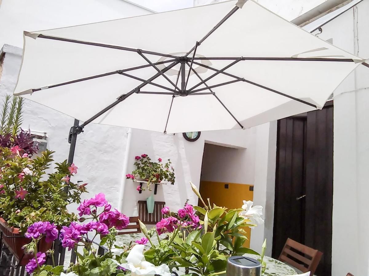 B&B 20 Archi Monopoli Ngoại thất bức ảnh